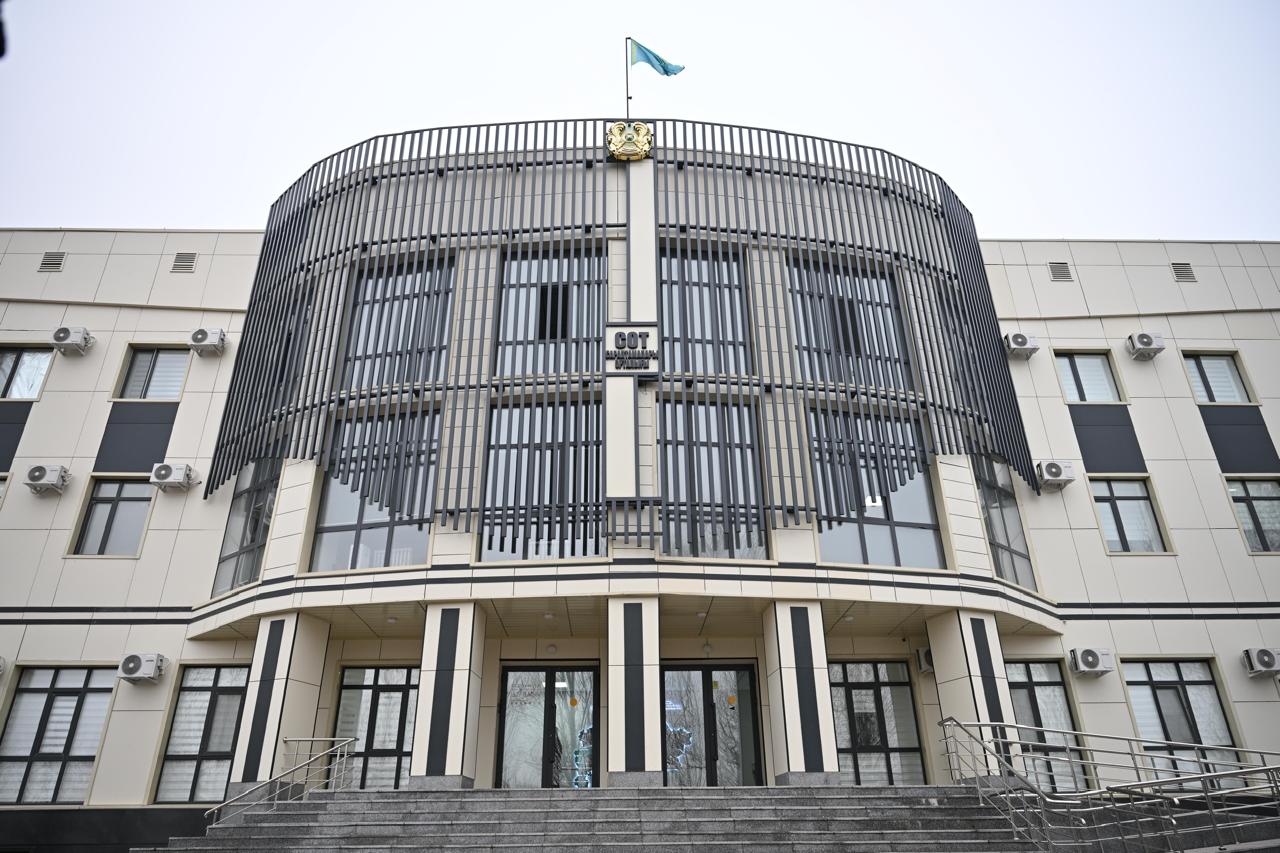 Сот сараптамасы